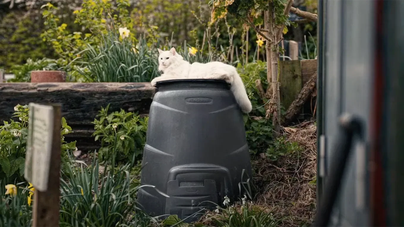 Guinness celebrates the return of pubs by reviving the feeling fans had been missing