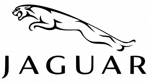 Logo Redesign