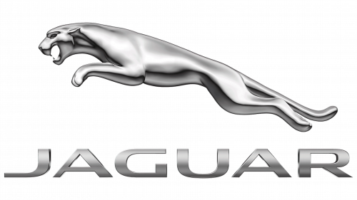 Logo Redesign