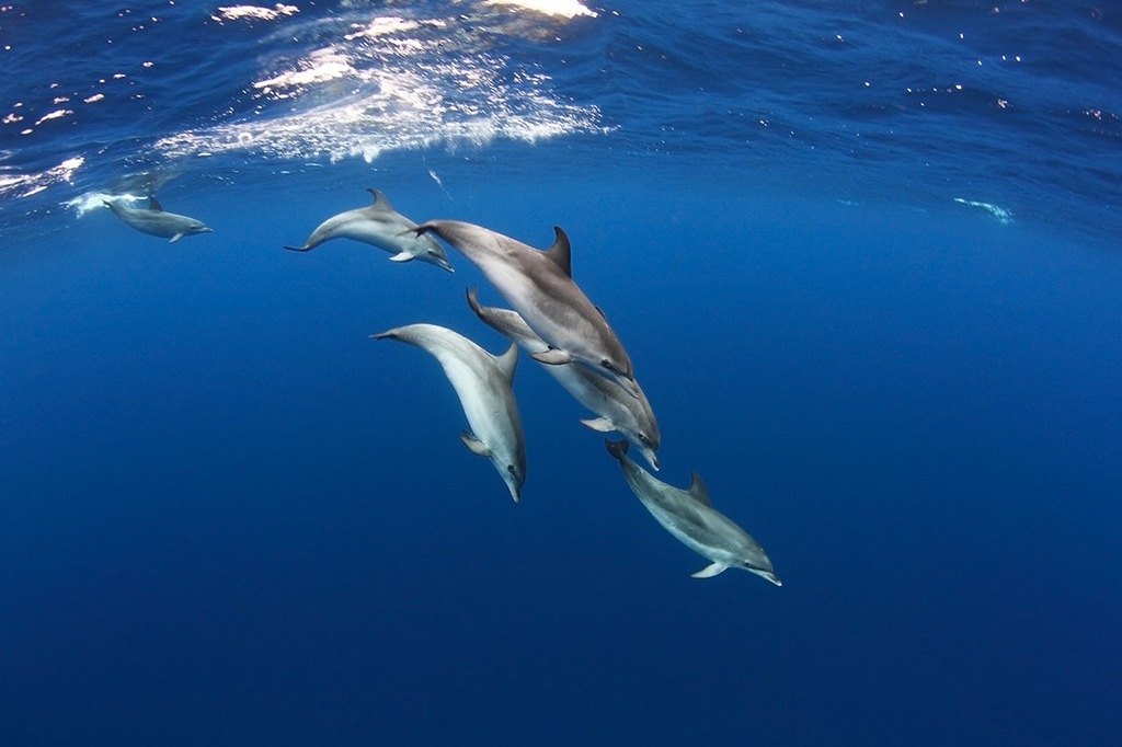 Hopespot azores page 07 image 0001
